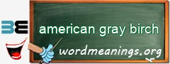 WordMeaning blackboard for american gray birch